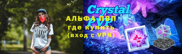 гидра Алексин