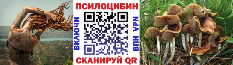 Галлюциногенные грибы мицелий  mega онион  дарк нет какой сайт  Саянск 